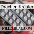 Drachen Kräuter 07